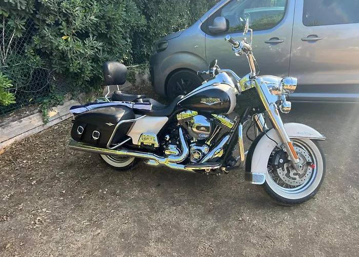 Zen Bed & Breakfast Peri